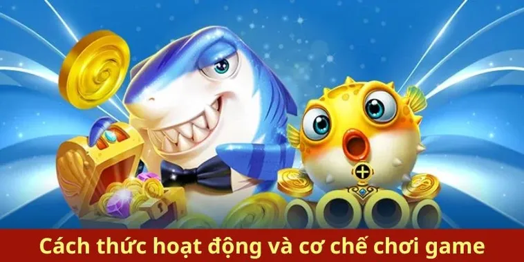 Chinh Phục Đại Dương Bí Kíp Chơi Bắn Cá Royal Fishing Tại 8US