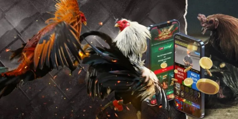 Bí Quyết Thống Trị Sàn Đấu Đá Gà GA28 Tại 8US Từ Sư Kê 2 Bí Quyết Thống Trị Sàn Đấu Đá Gà GA28 Tại 8US Từ Sư Kê