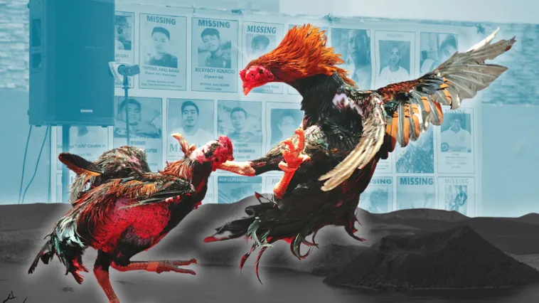 Chinh Phục Đấu Trường Đá Gà Sabong 8US Bất Bại Cùng Chuyên Gia