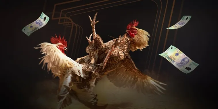 Đá Gà 8US Đấu Trường Kịch Tính Bậc Nhất Châu Á Hiện Nay