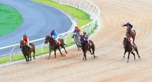 Khai Phá Bí Kíp Cá Cược Đua Ngựa 8US Giành Chiến Thắng Tuyệt Đối