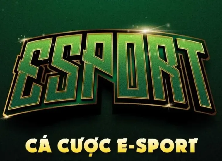 Chinh Phục Đấu Trường Thể Thao Điện Tử 8US Bất Bại Ngay Hôm Nay